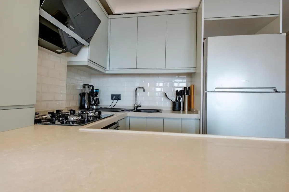 Chic Bosphorus View Apartment Istanbul Turkey
